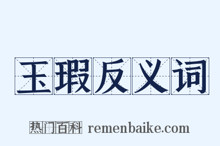 玉瑕反义词是什么意思的图片